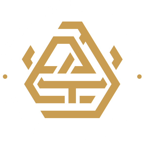 Logo Dhaliwal Tech